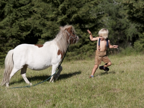 Kind mit Pony auf der Wiese