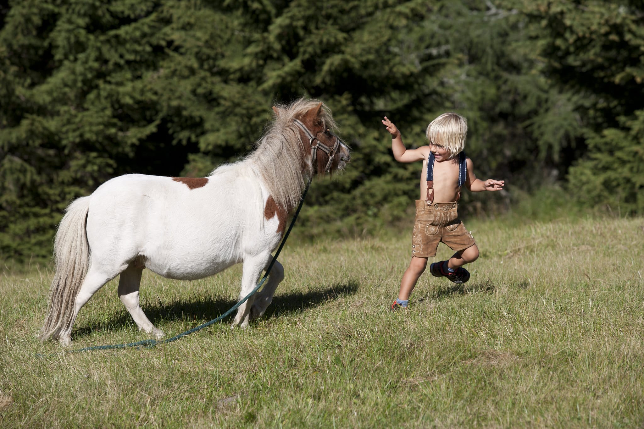 Kind mit Pony auf der Wiese